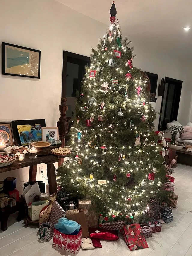 Family Christmas tree covered in eclectic ornaments with wrapped gifts