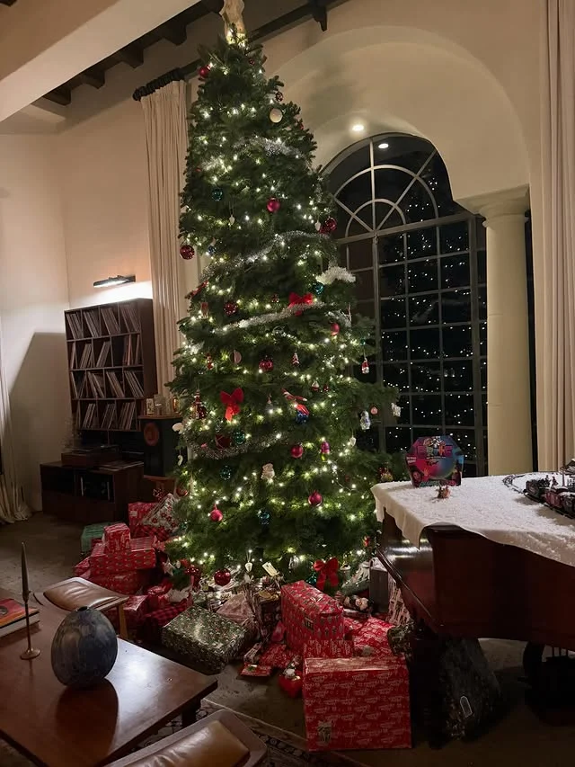 Tall Christmas tree beside an arched window in a grand living room