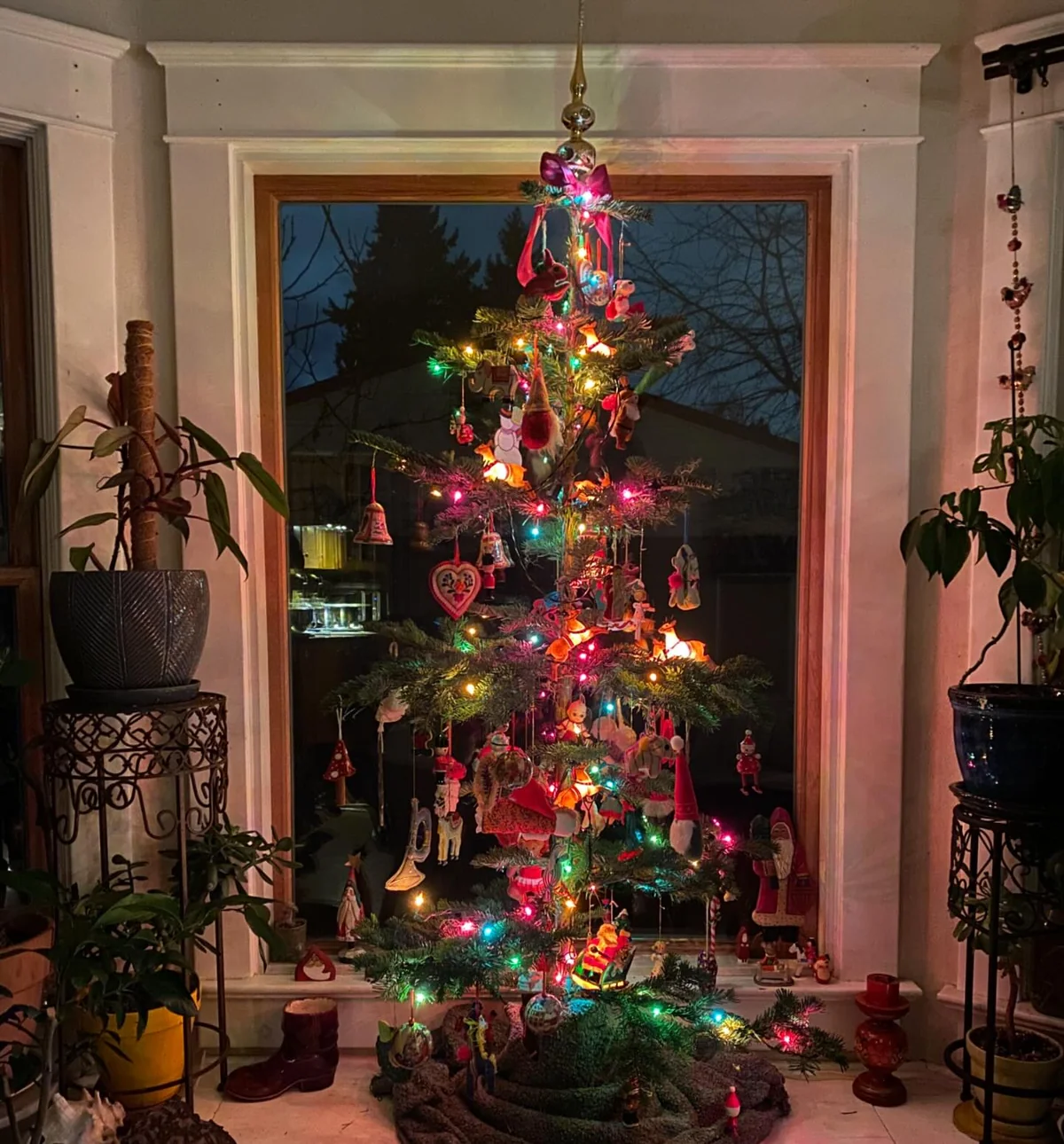 Small slender christmas tree with colorful lights in front of a window