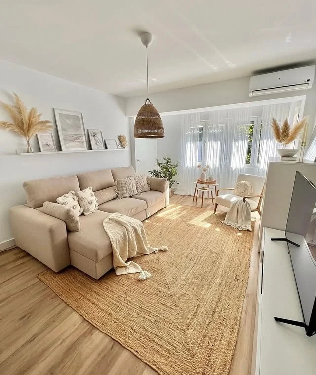 Living room with a textured natural area rug