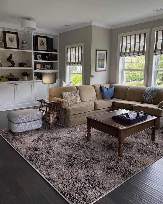 Area rug anchoring a living room seating area